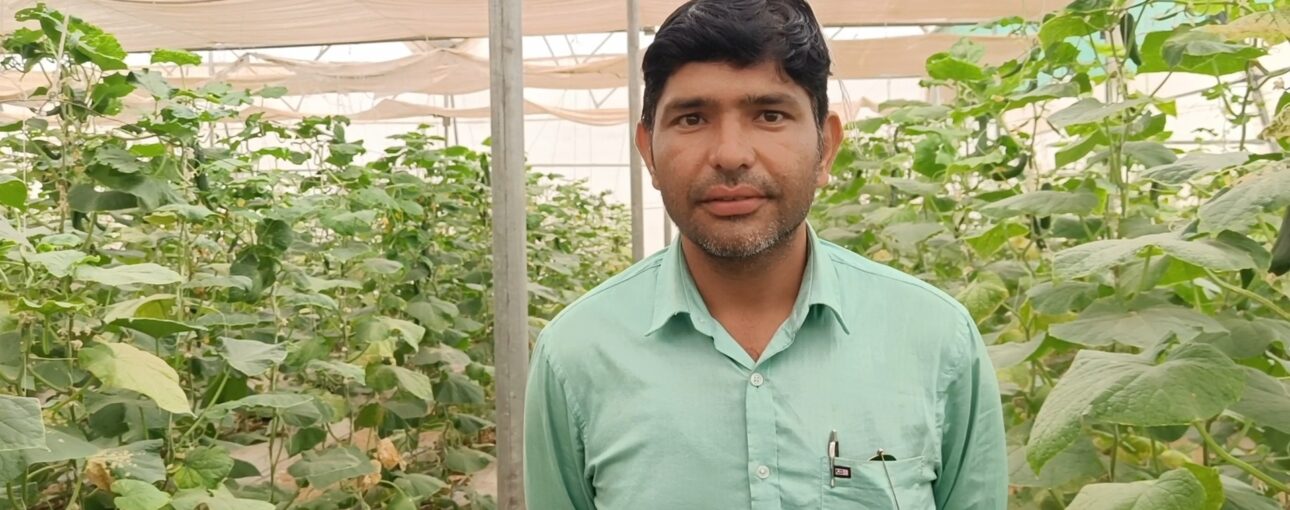 राजस्थान में किसानों को ग्रीन हाउस तथा शेडनैट हाउस लगाने के लिए 95 प्रतिशत तक अनुदान