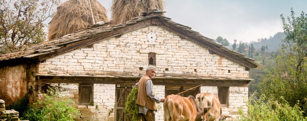 राज्य पशुधन मिशन में खर्च होंगे 60 करोड़ रुपये