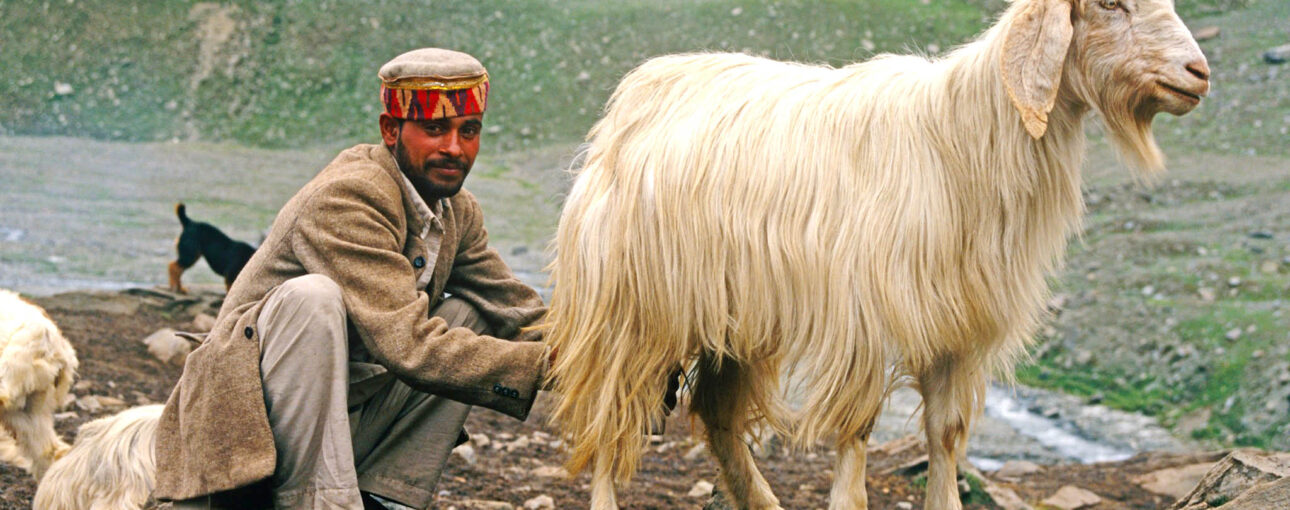 घर-द्वार पर मोबाइल पशु चिकित्सा सेवाएं बस एक फोन कॉल दूर