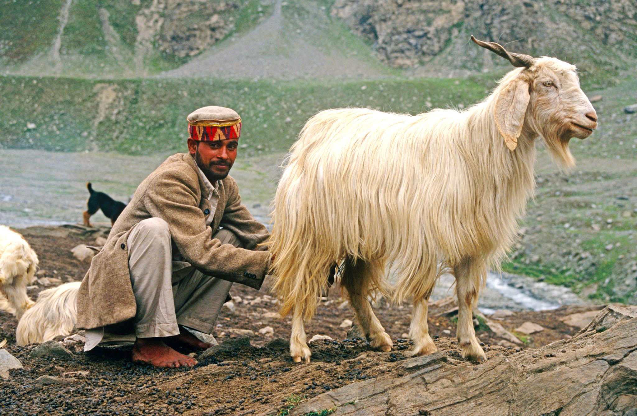 घर-द्वार पर मोबाइल पशु चिकित्सा सेवाएं बस एक फोन कॉल दूर