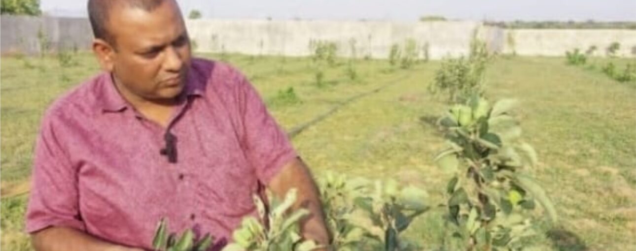 सरगुजा संभाग के प्रतापपुर में युवा किसान ने नवाचार कर शुरू की सेब की खेती