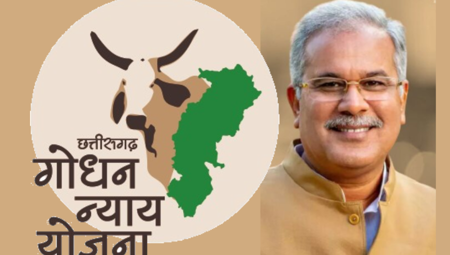 छत्तीसगढ़ में गोधन न्याय योजना से ग्रामीणों की आर्थिक स्थिति में हो रहा सुधार