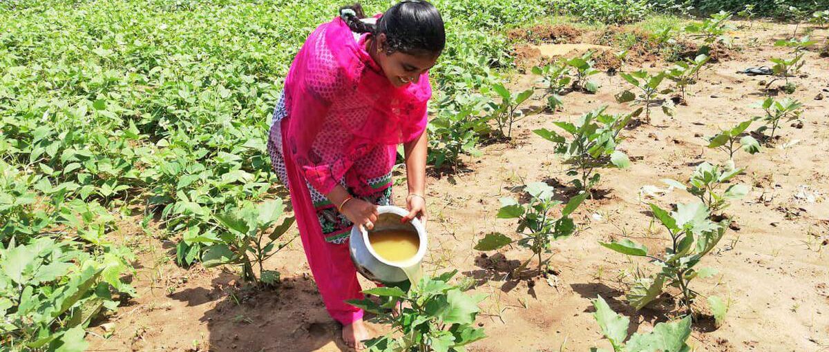 प्राकृतिक खेती के फायदे