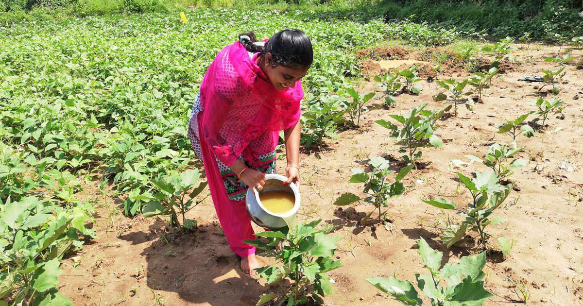प्राकृतिक खेती के फायदे