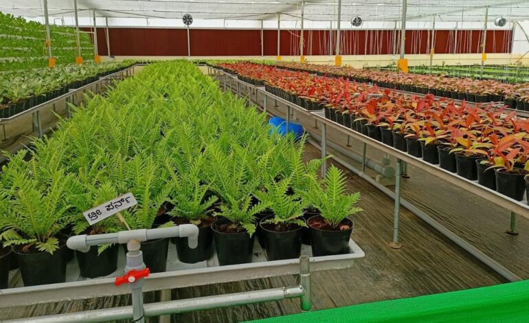 स्वच्छ पौध कार्यक्रम बागवानी क्षेत्र में क्रांति लाएगा