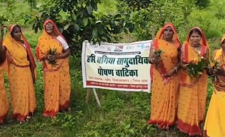 बंजर जमीन को उपजाऊ कर बनाई “हरी बगिया पोषण वाटिका”