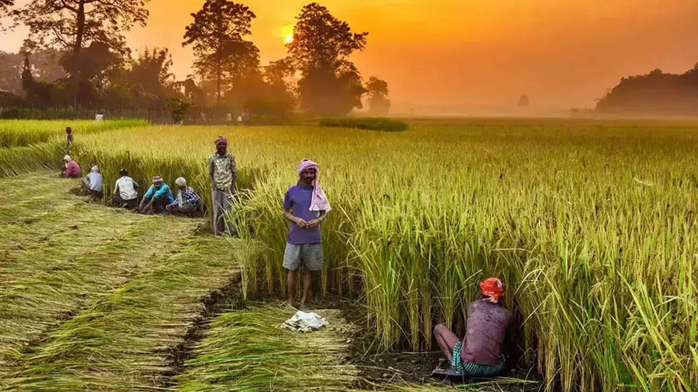 योगी की किसानों पर मेहरबानी