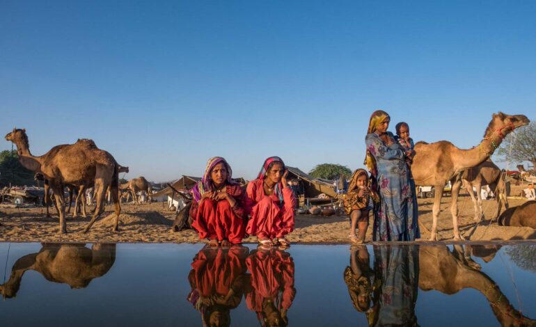 पुष्कर में होता है संस्कृतियों का मिलन