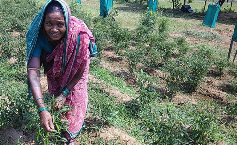 राष्ट्रीय कृषि वानिकी नीति