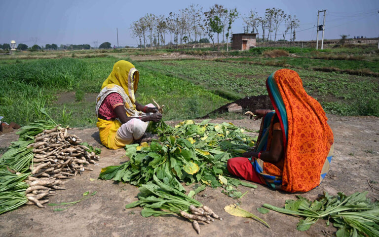 प्रधानमंत्री अन्नदाता आय संरक्षण अभियान