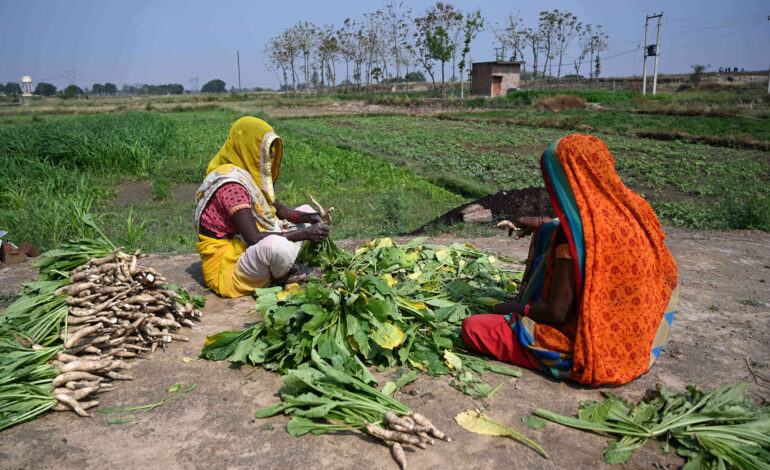 प्रधानमंत्री अन्नदाता आय संरक्षण अभियान