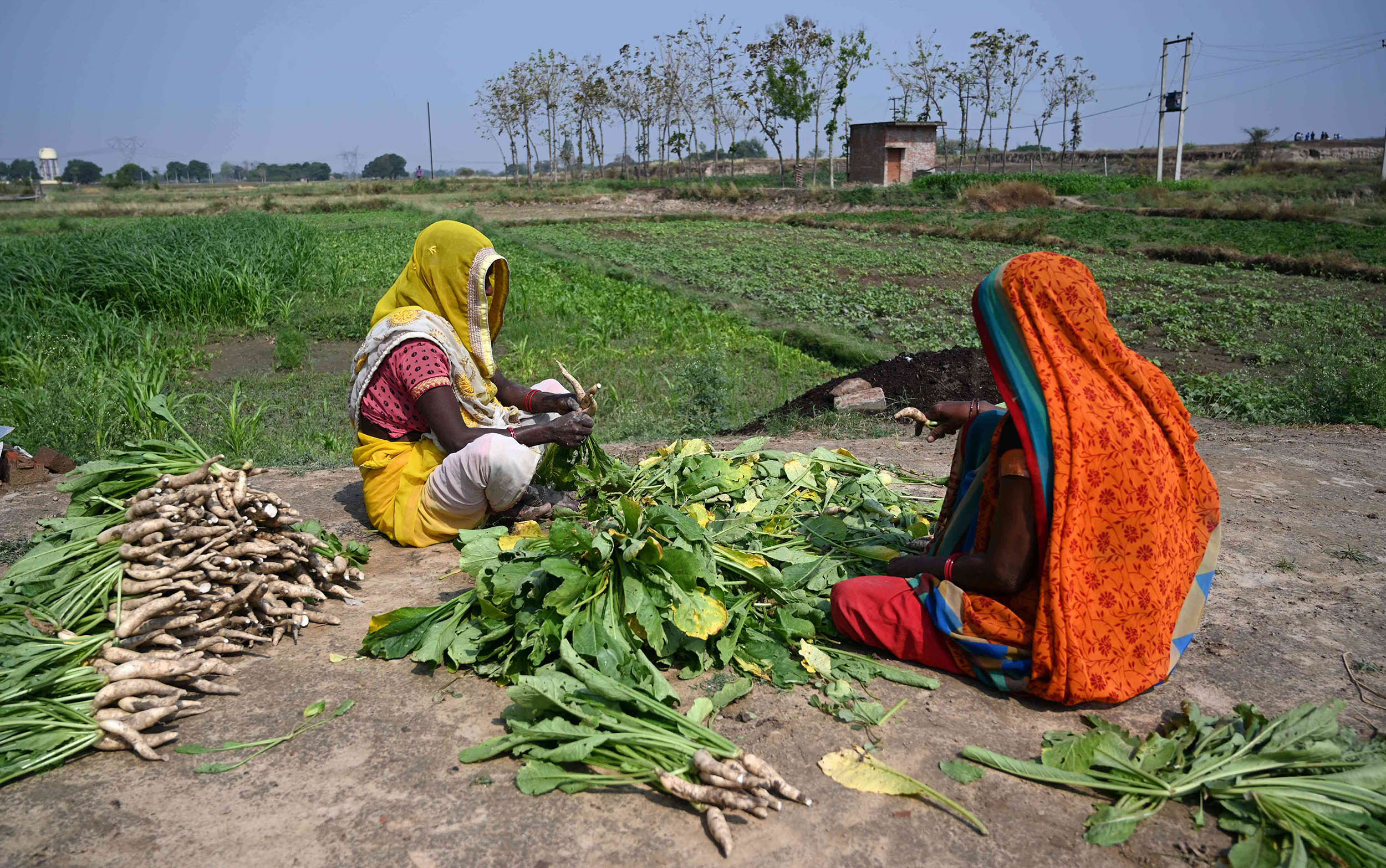 प्रधानमंत्री अन्नदाता आय संरक्षण अभियान