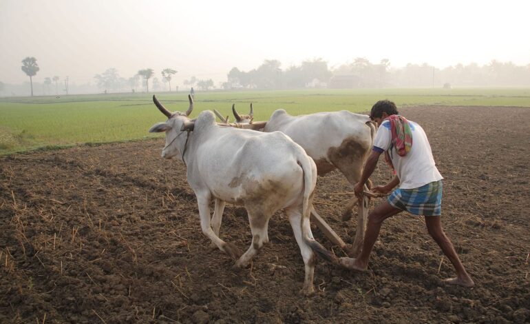 परम्परागत कृषि विकास योजना