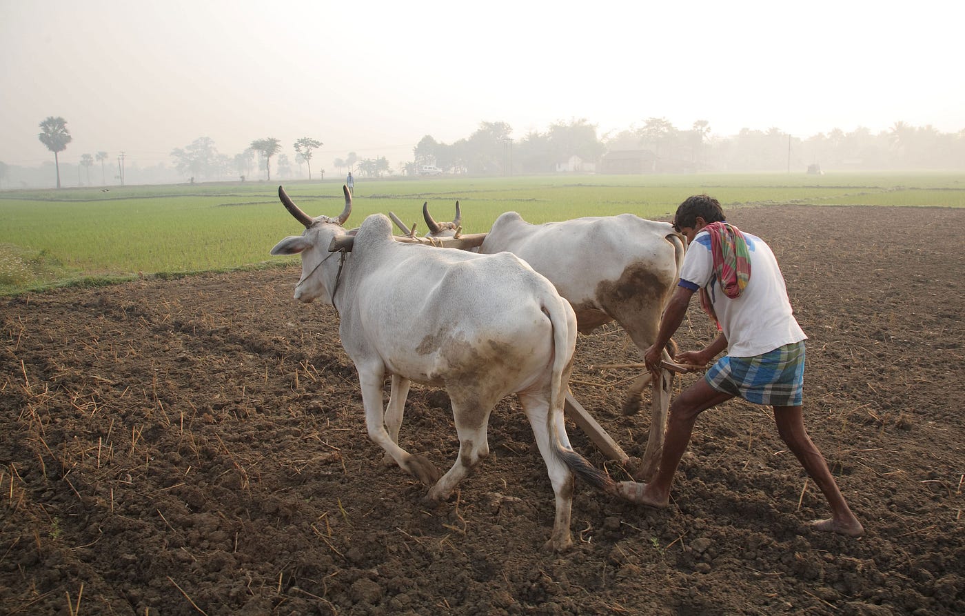 परम्परागत कृषि विकास योजना